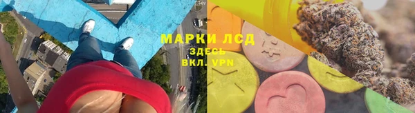 эйфоретик Аркадак