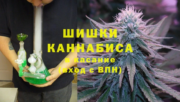 эйфоретик Аркадак