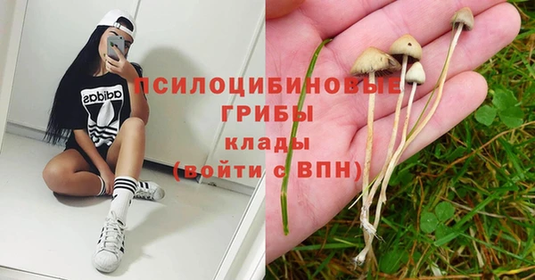 mdpv Арсеньев