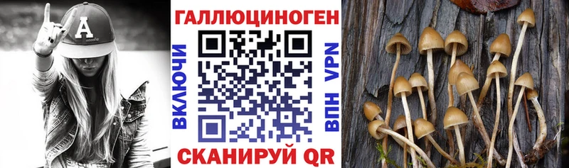 Галлюциногенные грибы ЛСД Сретенск